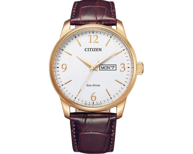 Citizen Leather< Zegarki Męskie