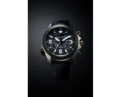 Sale Citizen Promaster Land