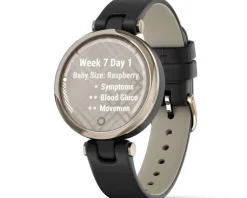 Best Garmin Lily™