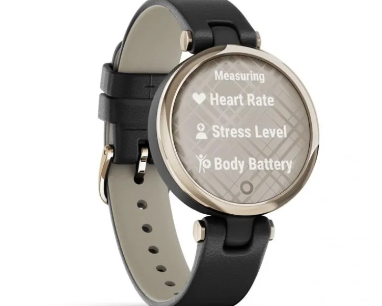 Best Garmin Lily™