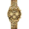 Hot Guess Leopardess