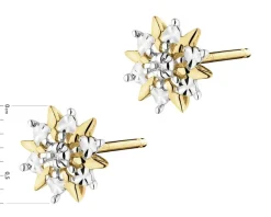 Clearance Apart Kolczyki z żółtego złota z diamentami - 0,006 ct - próba 375