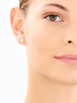 Clearance Apart Kolczyki z żółtego złota z diamentami - kolibry - 0,03 ct - próba 375