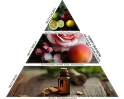Best Elixa Patyczki zapachowe - dyfuzor Cherry Blossom (430 ml)